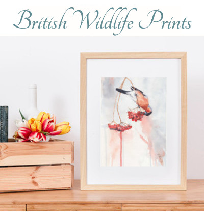 wildlife print button